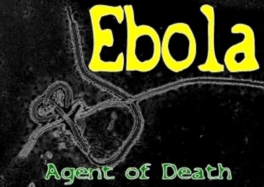 Ebola outbreak 1