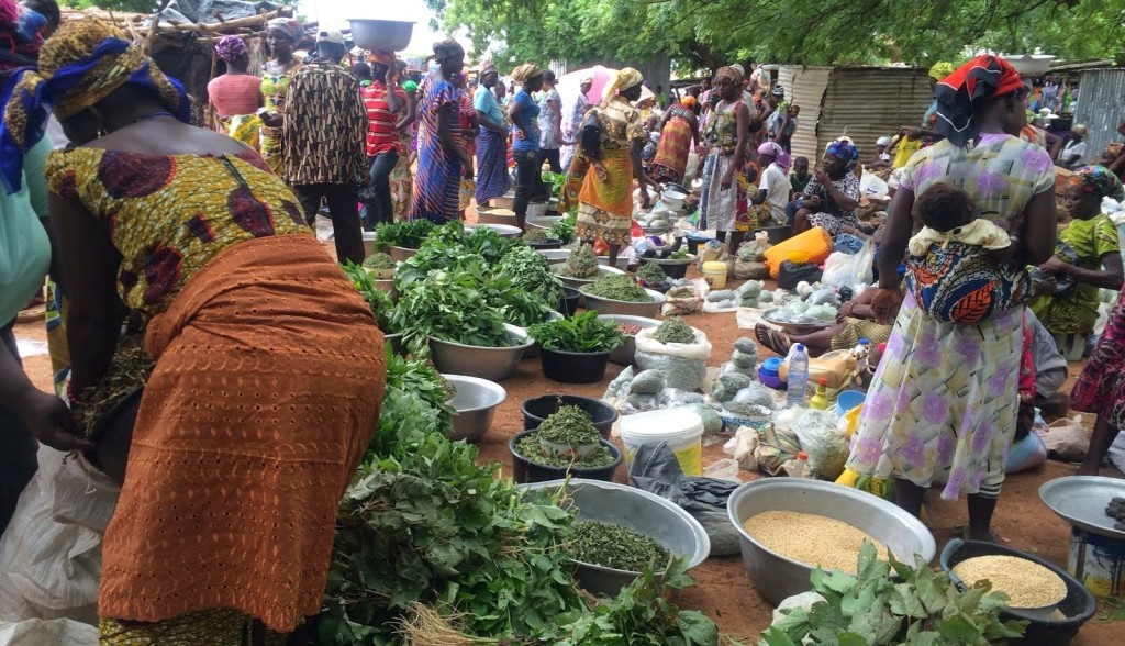 women-traders