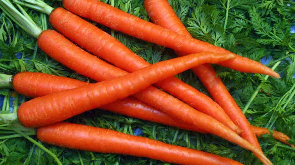 Carrot Health Benefits  10 Amazing Reasons You Must Not Miss It Any Day  - 90