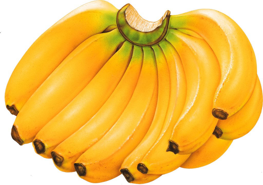 Top 10 Amazing Banana Health Benefits and Nutritional Facts - 52