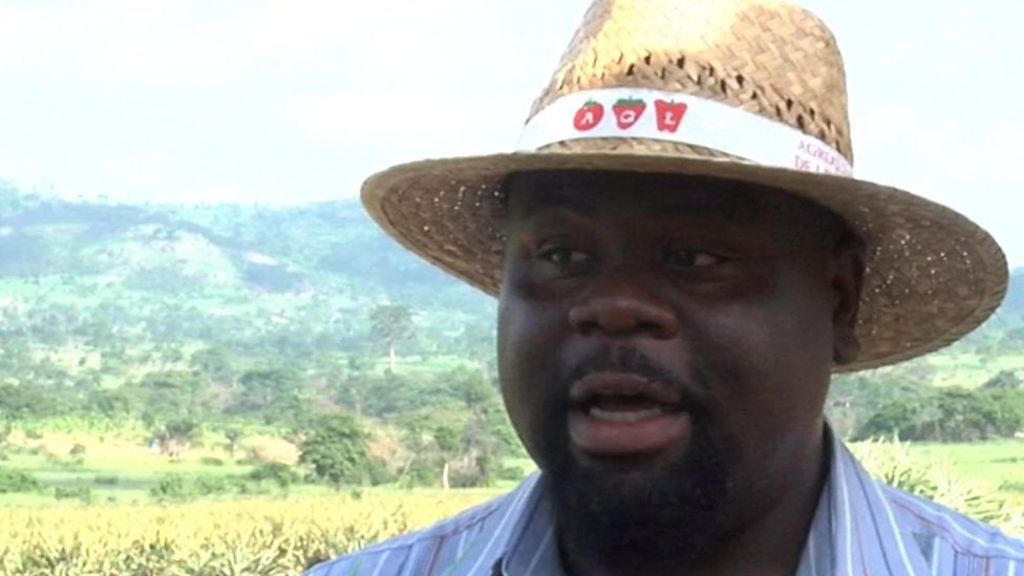 Meet 33-Yr Old Who Left US Job To Grow Pineapples In Ghana