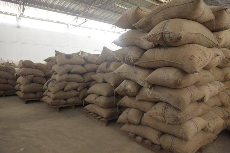 Load of paddy rice for processing at the plant.